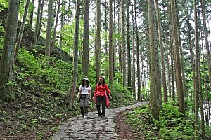 Trekking the Nakasendo trail, Japan