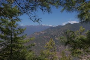 Trek to Jili Dzong. Image by Mr & Mrs Campbell
