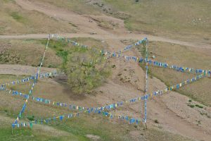 Sacred tree in the Mongolian steppe