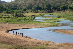 On foot in Pafuri  - Kruger National Park