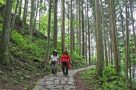 Trekking the Nakasendo trail, Japan
