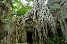 Ta Prohm, Siem Reap