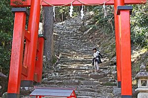 Shrine on Kumano Kodo trail