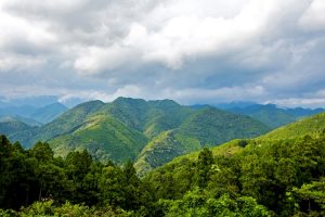 On trek - views of Takahara