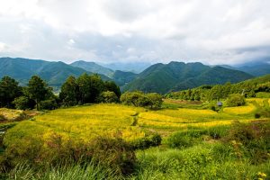 On trek - views of Takahara