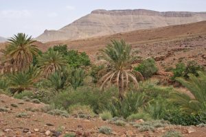 Trekking to Bab n Ali in the Jebel Sahro