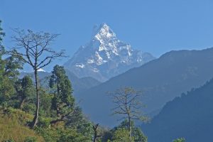 View of Fishtail (Machhapuchare) from Sanctuary Lodge