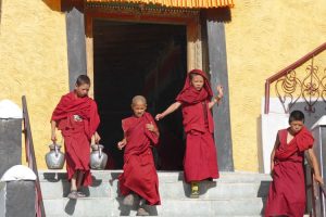 Monks at Thikse Monastery. Image by L Bissett