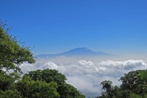 View of Mount Kilimanjaro whilst on trek to Mount Meru. Image by H Gray