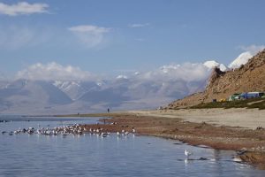 Shores of Lake Manasarovar