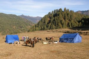 Camp, on trek to Ogyen Choling. Image by G Hall
