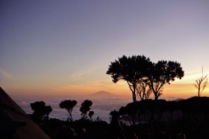 Sunrise from Kilimanjaro. Image by R Anderson