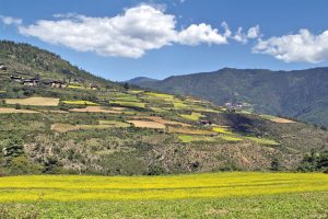 The Haa Valley