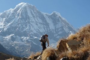 Trek to Machhapuchare Base Camp. Image by G Smith
