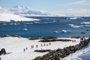 Antarctic land excursion