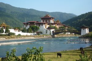 Punakha Dzong, Bhutan. Image by V Timperley