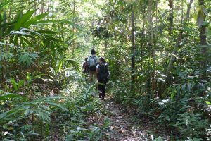 Trekking in the jungle to Wildlife Release Station