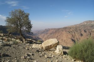 On trek from Wadi Dana
