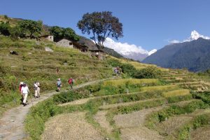 Stunning trekking through remote villages with impressive views.