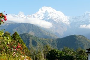 View of the Annapurnas. A Shillan
