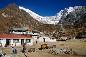 Kyanjing Gompa on the Langtang acclimatisation trek in Nepal by A Harrison