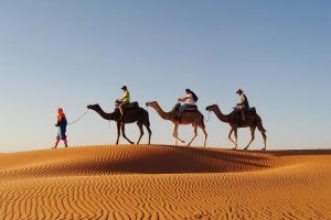 Group camel ride through the Moroccan desert
