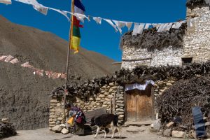 Village house at Dho Tarap