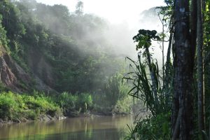 Tambopata River in the Amazon