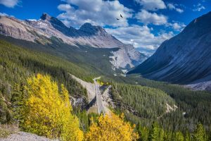 Icefields Parkway through Banff National Park