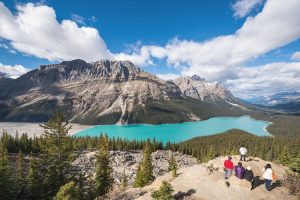 Peyto Lake overlook