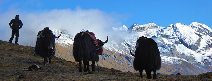 The mountains of Bhutan