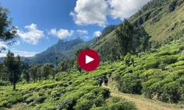 Pekoe Trail, Sri Lanka