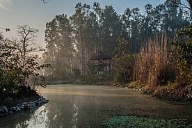 Corbett national park india