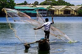 Definitive Cultural Tour of Sri Lanka