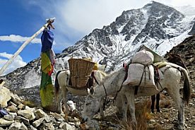 Kingdom of Mustang Trek