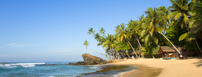 Gentle Walking Sri Lanka